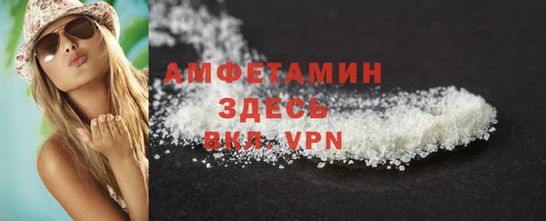 стаф Абинск