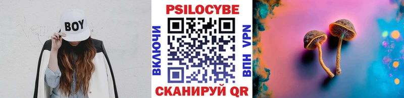 Псилоцибиновые грибы мицелий  blacksprut сайт  дарк нет телеграм  Углегорск 